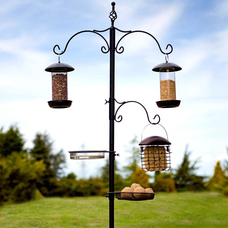 Tom Chambers - Classic Bird Station 1 Tom Chambers - Classic Bird Station