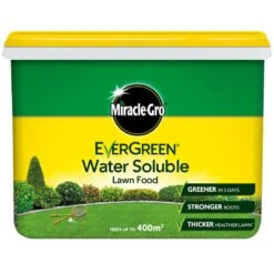 New Arrival -Furniture Nature Shop evergreen water soluble lawn 2kg web