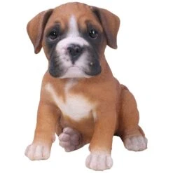 Furniture Nature Shop -Furniture Nature Shop pet pals boxer puppy web