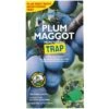 Growing Success - Plum Maggot Monitoring Trap