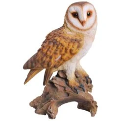 Furniture Nature Shop -Furniture Nature Shop vivid arts real life barn owl web