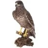 Vivid Arts Real Life Birds - Common Buzzard Garden Ornament
