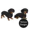 Vivid Arts Real Life Dogs - Dachshund Garden Ornament