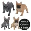 Vivid Arts Real Life Dogs - French Bulldog Garden Ornament