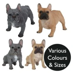 Vivid Arts Real Life Dogs - French Bulldog Garden Ornament