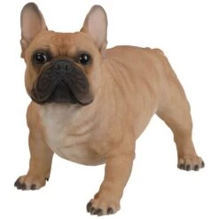 Vivid Arts Real Life Dogs - French Bulldog Garden Ornament -Furniture Nature Shop vivid arts real life golden french bulldog large web