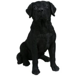 Vivid Arts Real Life Dogs - Labrador Garden Ornament -Furniture Nature Shop vivid arts real life labrador black medium web 1