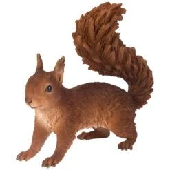Furniture Nature Shop -Furniture Nature Shop vivid arts running red squirrel web