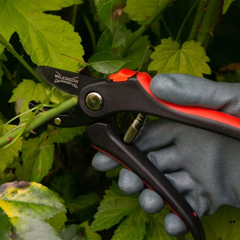 Wilkinson Sword - Anvil Pruners 2 Wilkinson Sword - Anvil Pruners - Image 2
