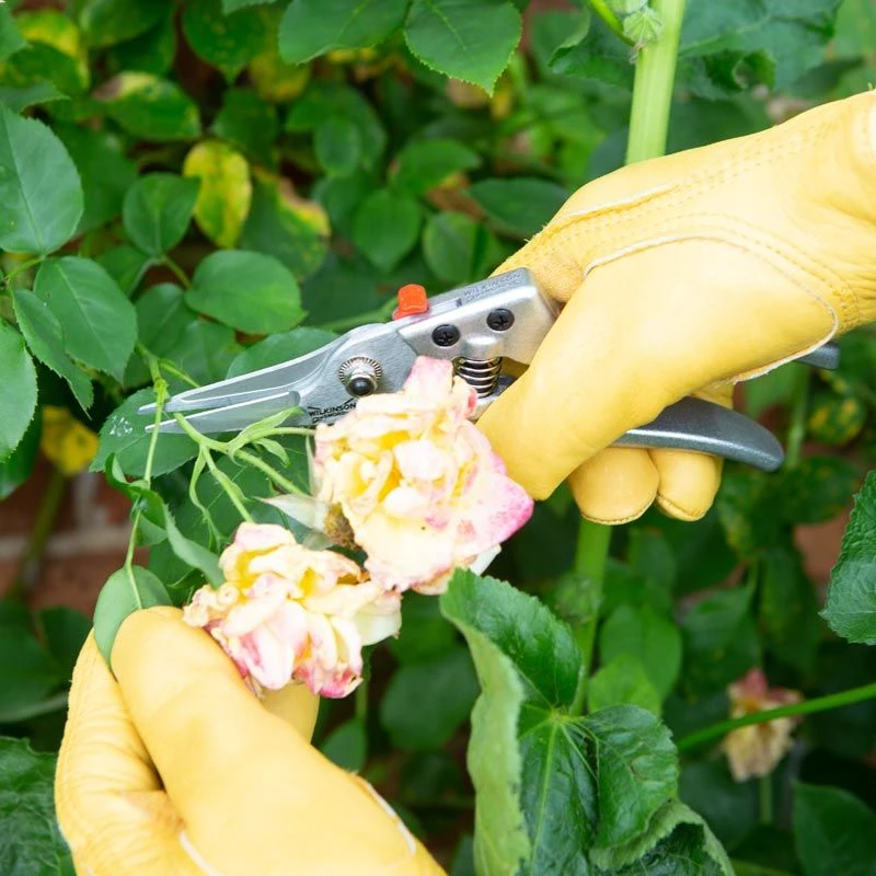 Wilkinson Sword - Razorcut Comfort Pruning Snips 2 Wilkinson Sword - Razorcut Comfort Pruning Snips - Image 2