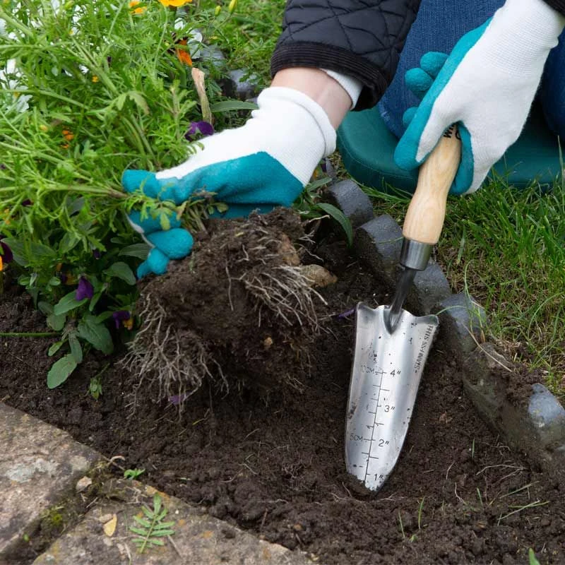 Wilkinson Sword - Stainless Steel Hand Transplanter 2 Wilkinson Sword - Stainless Steel Hand Transplanter - Image 2